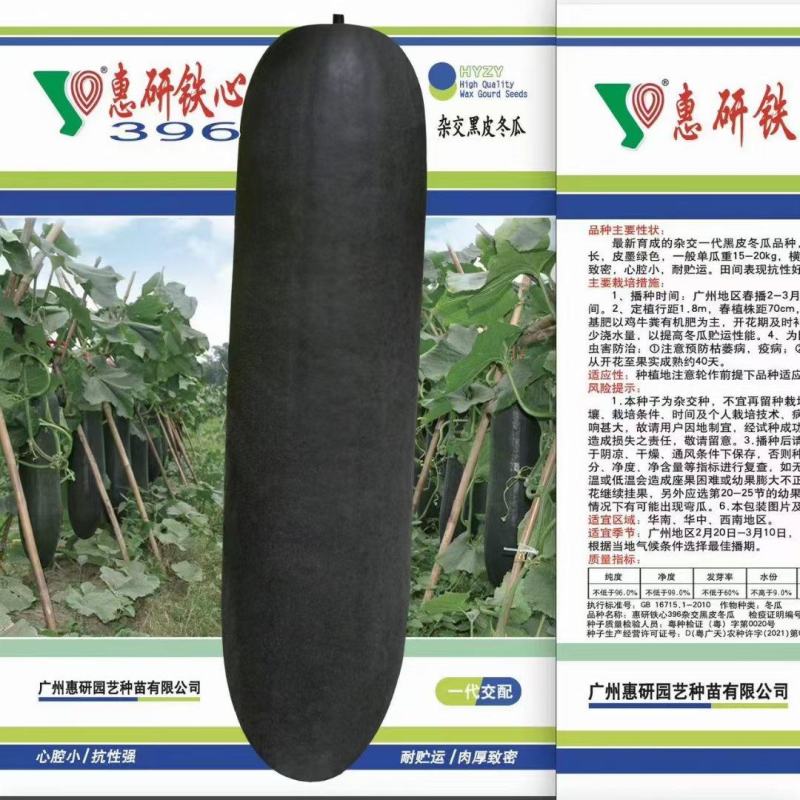 396冬瓜种子
