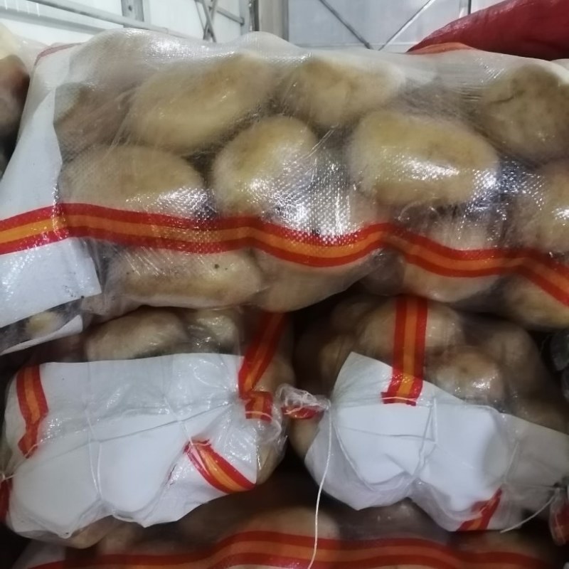 张家口沽源大量供应沃土，V七，226，希森等优质土豆