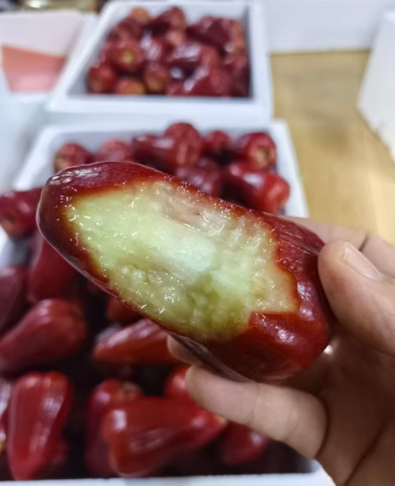 海南黑金刚莲雾上架一件代发包邮顺丰空运