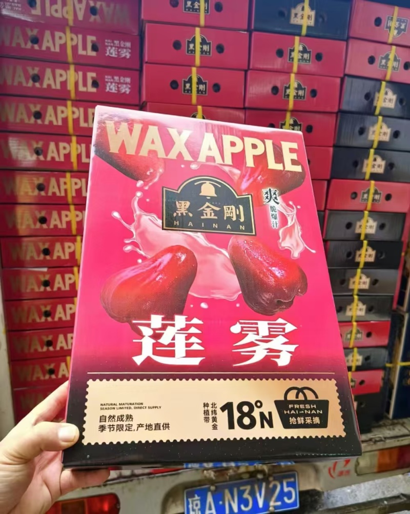 海南黑金刚莲雾上架一件代发包邮顺丰空运