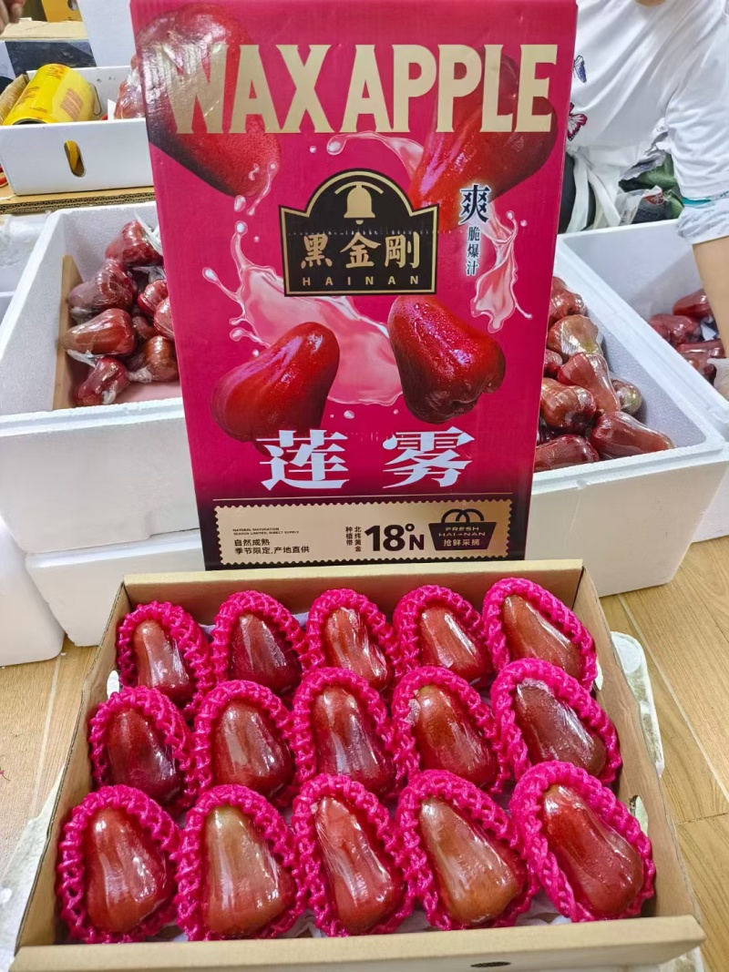 海南黑金刚莲雾上架一件代发包邮顺丰空运
