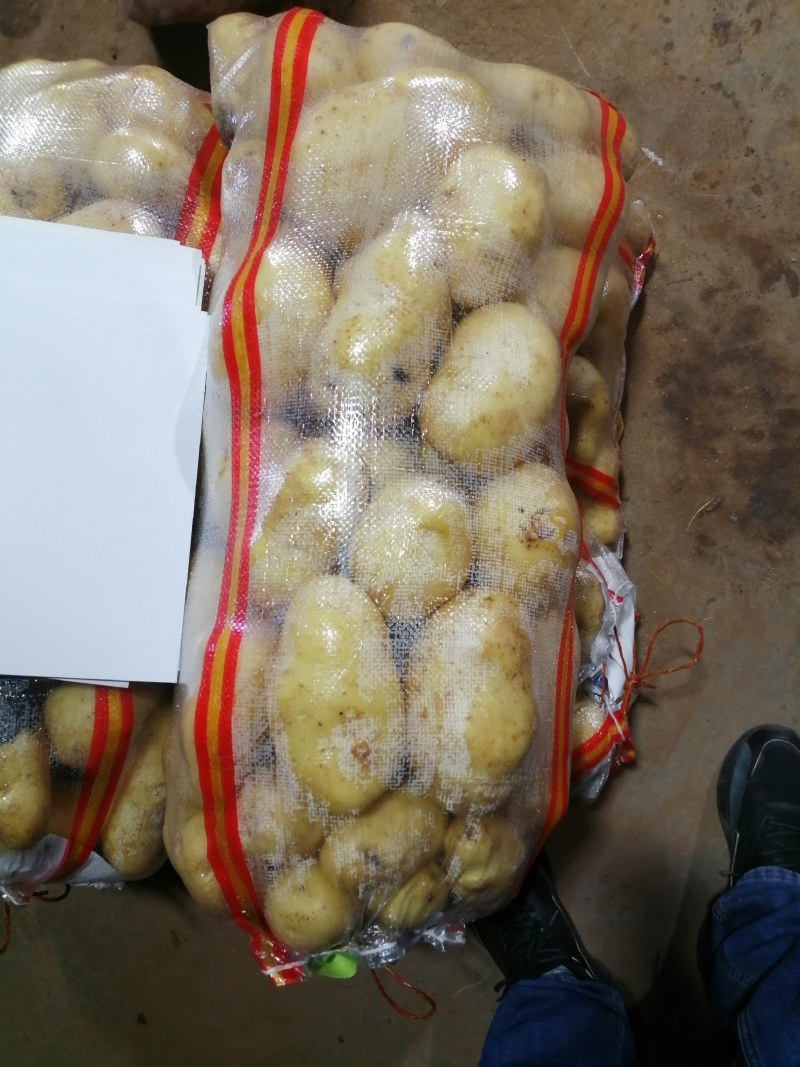 张家口沽源大量供应沃土，V七，226，希森等优质土豆