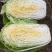 黄心菜