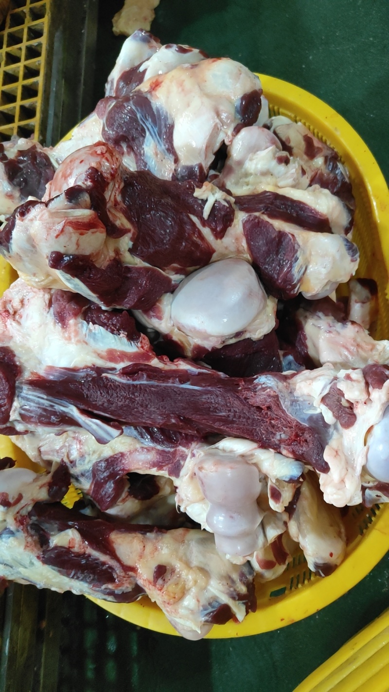【牛肉棒骨】当地草原黄牛的屠宰场直销，超码的，免费加工！