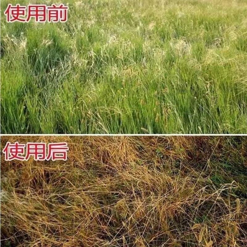 丰化95%草甘膦原药果园荒地烂根茅草芦苇多年生杂草除草剂