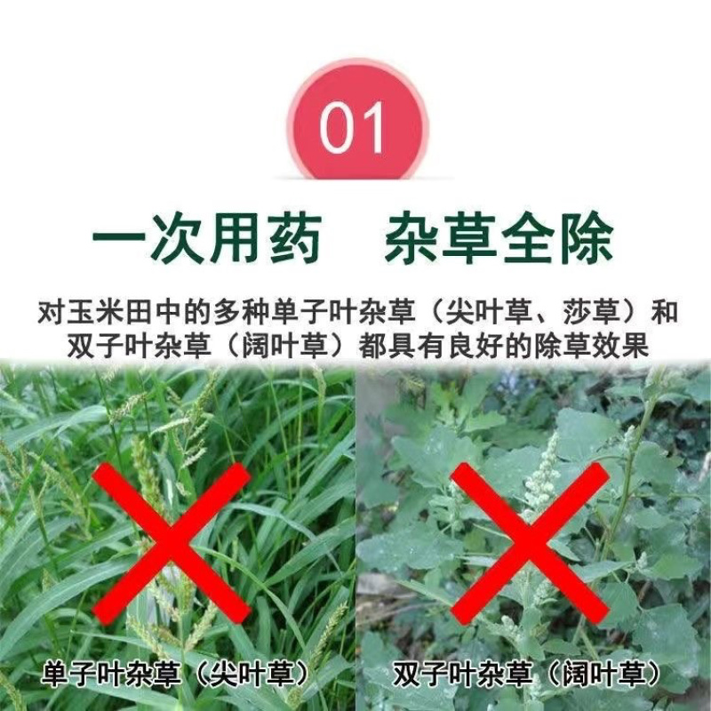 丰化95%草甘膦原药果园荒地烂根茅草芦苇多年生杂草除草剂
