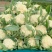 有机松花菜山东聊城菜花白面青梗散花免费提供冷库预冷
