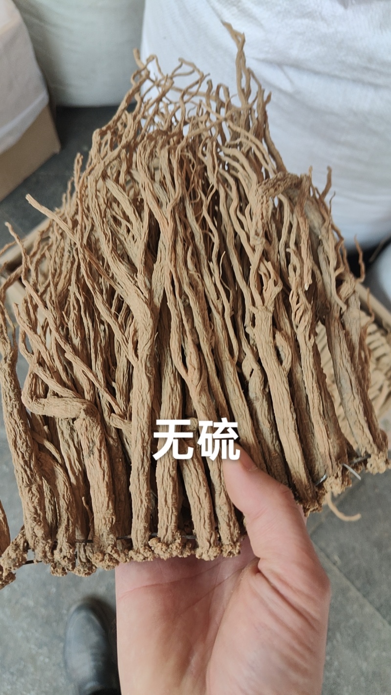 党参正宗甘肃原产地的货常年供应批发零售各种规格都有