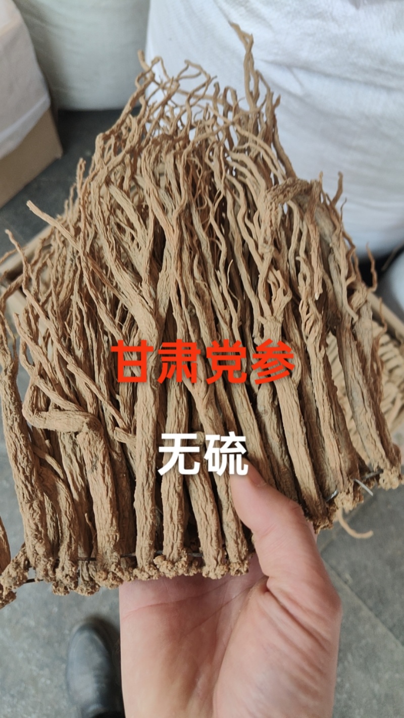 党参正宗甘肃原产地的货常年供应批发零售各种规格都有