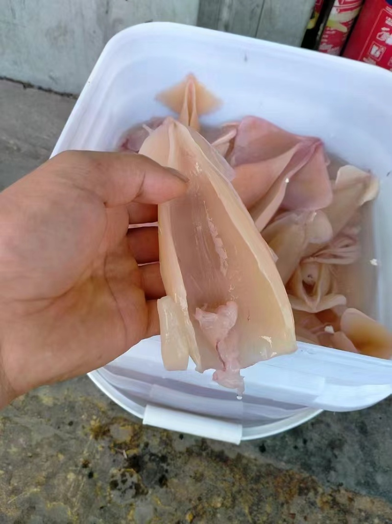 朝鲜OK货