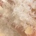 龙须小雪燕