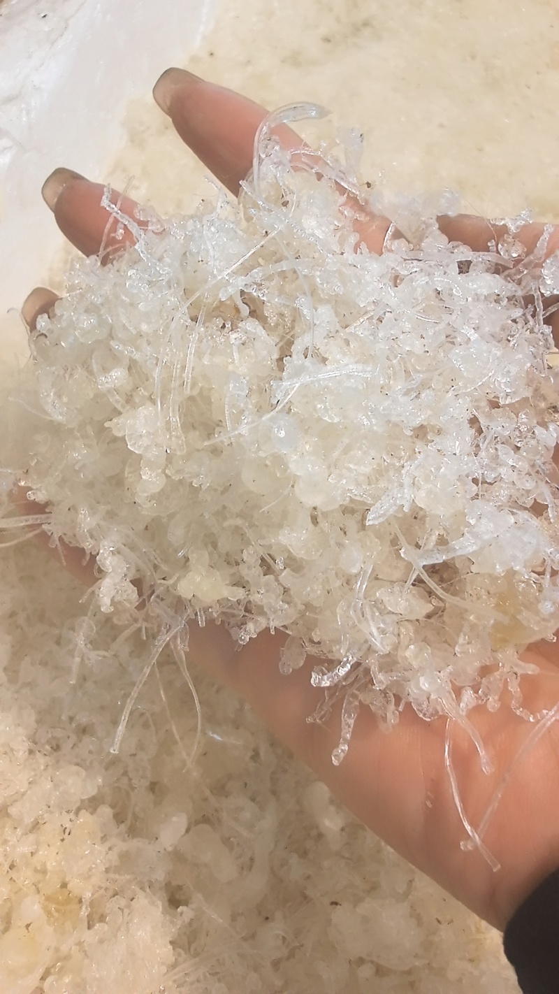 龙须小雪燕