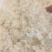 龙须小雪燕