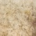 龙须小雪燕