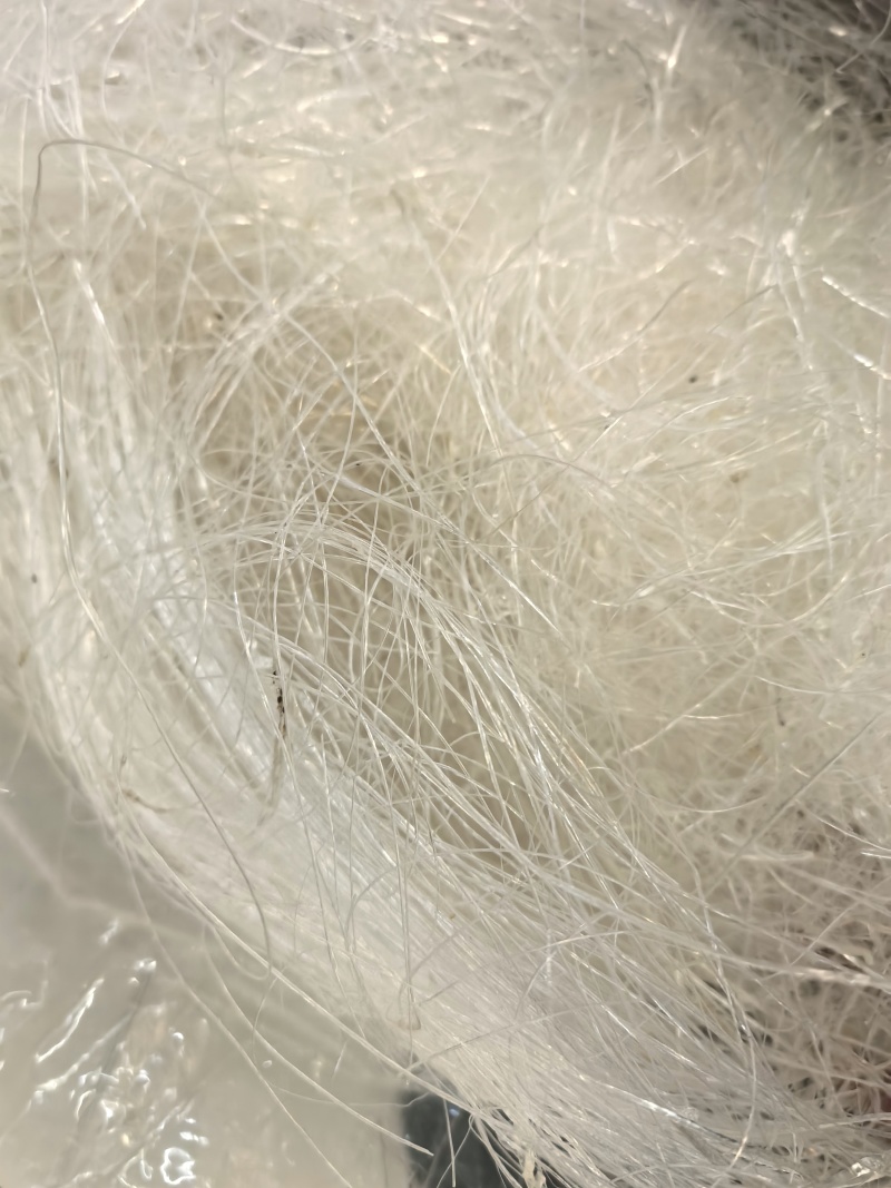 龙须大雪燕
