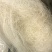 龙须大雪燕