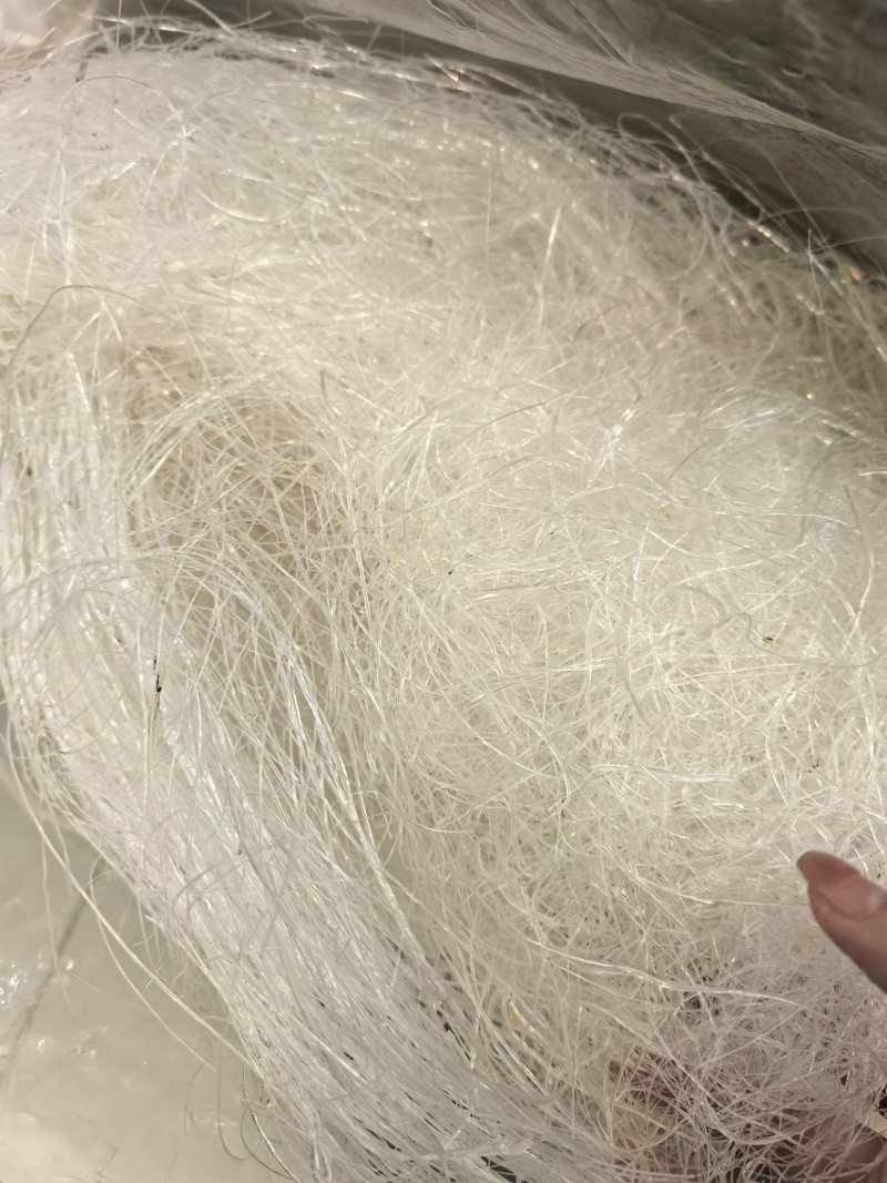 龙须大雪燕