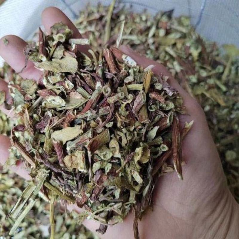 景天三七汉三奇旱三七血山草六月淋中药材新货
