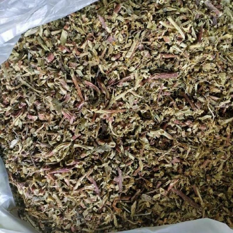 景天三七汉三奇旱三七血山草六月淋中药材新货