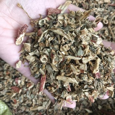 景天三七汉三奇旱三七血山草六月淋中药材新货