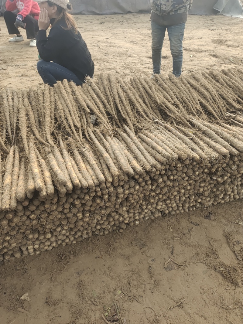 双棒二路质量好价位不高要的联系
