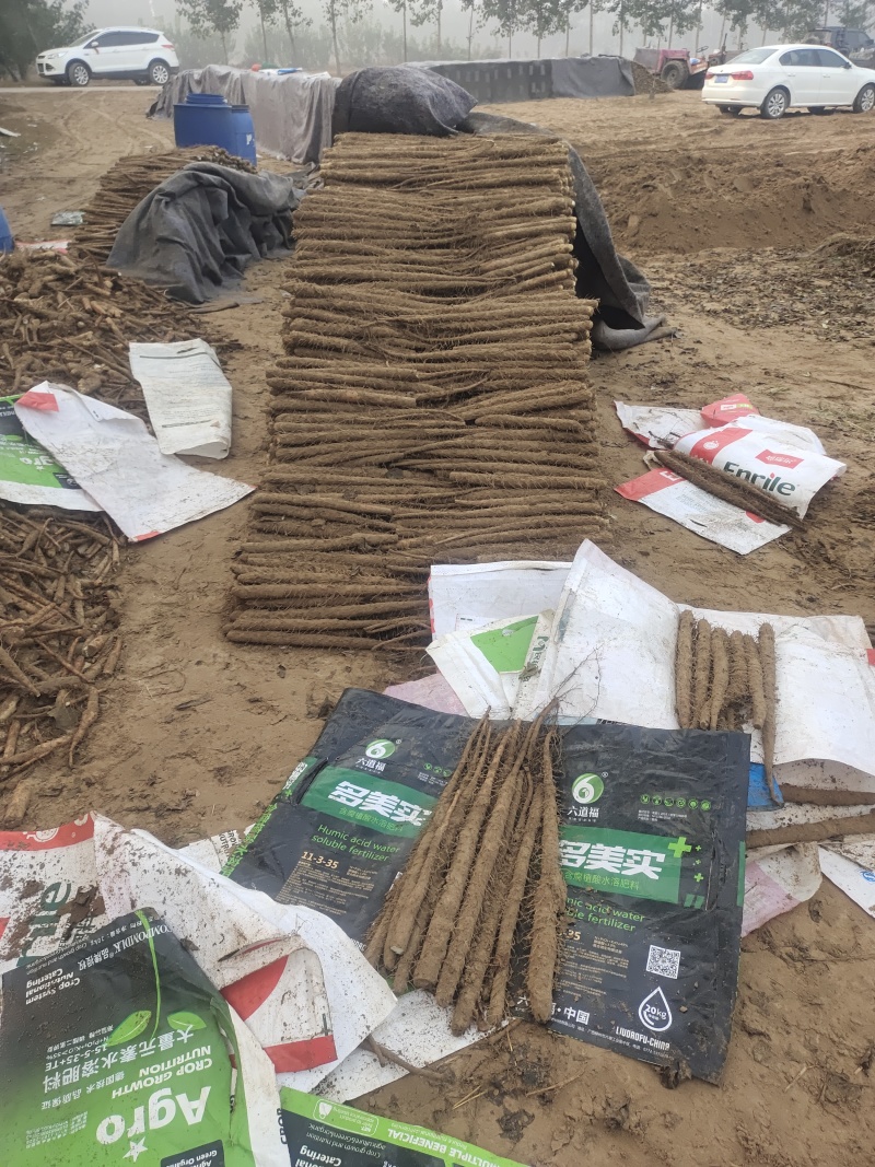 双棒二路质量好价位不高要的联系