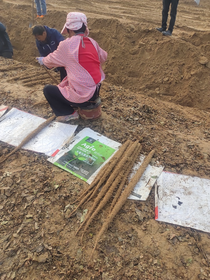 双棒二路质量好价位不高要的联系