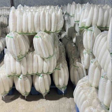 支持打冷散洗三排四排，精品白萝卜，打包全国发货，诚信为本