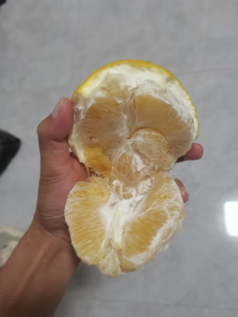 广西富川脐橙想了解*************