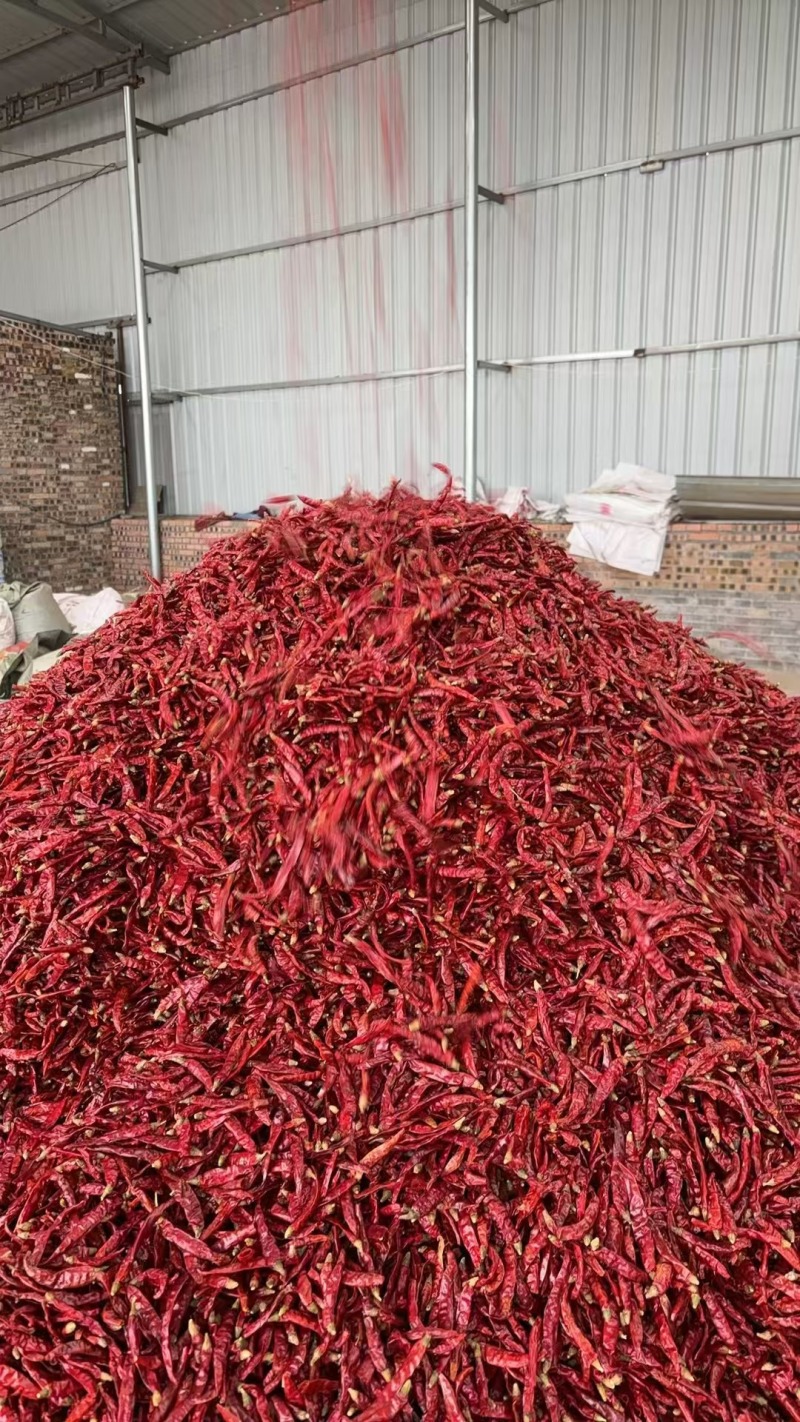 精品印度椒干辣椒产地直发品质保证一手货源量大从优