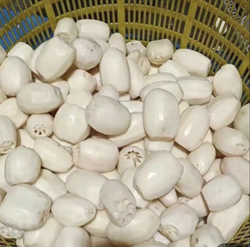 盐渍藕段，盐渍藕片，清水藕片，清水藕片原料，藕夹卤藕原料