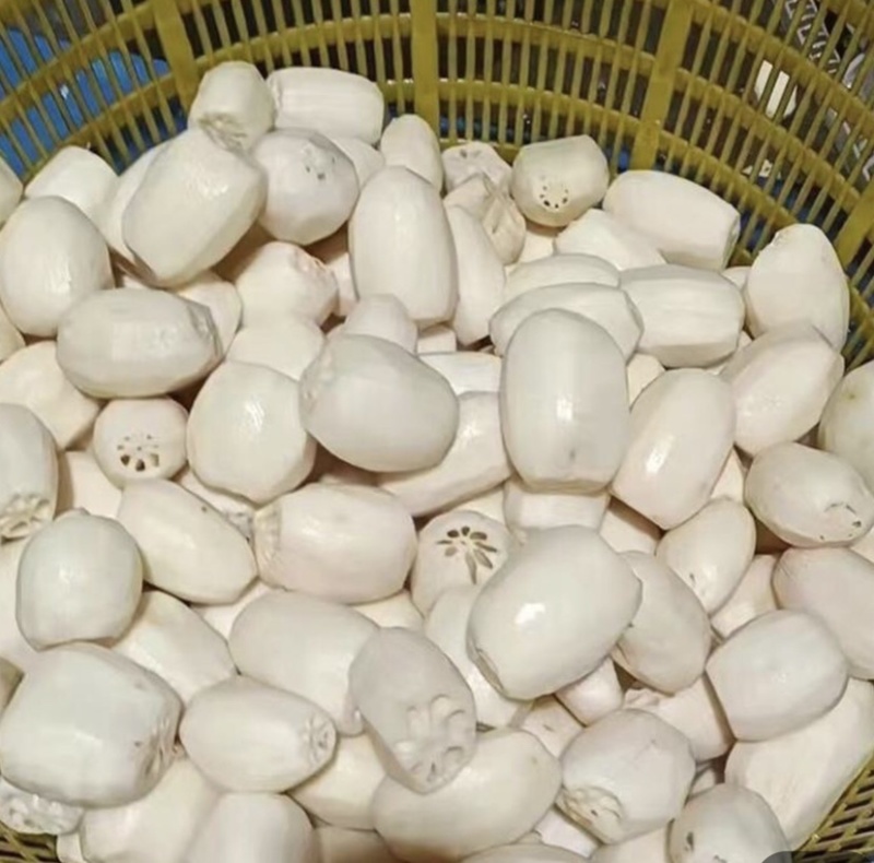 盐渍藕段，盐渍藕片，清水藕片，清水藕片原料，藕夹卤藕原料