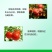 叶绿素肽叶面料果蔬农用通用复合蔬菜花卉绿植提苗壮棵水溶