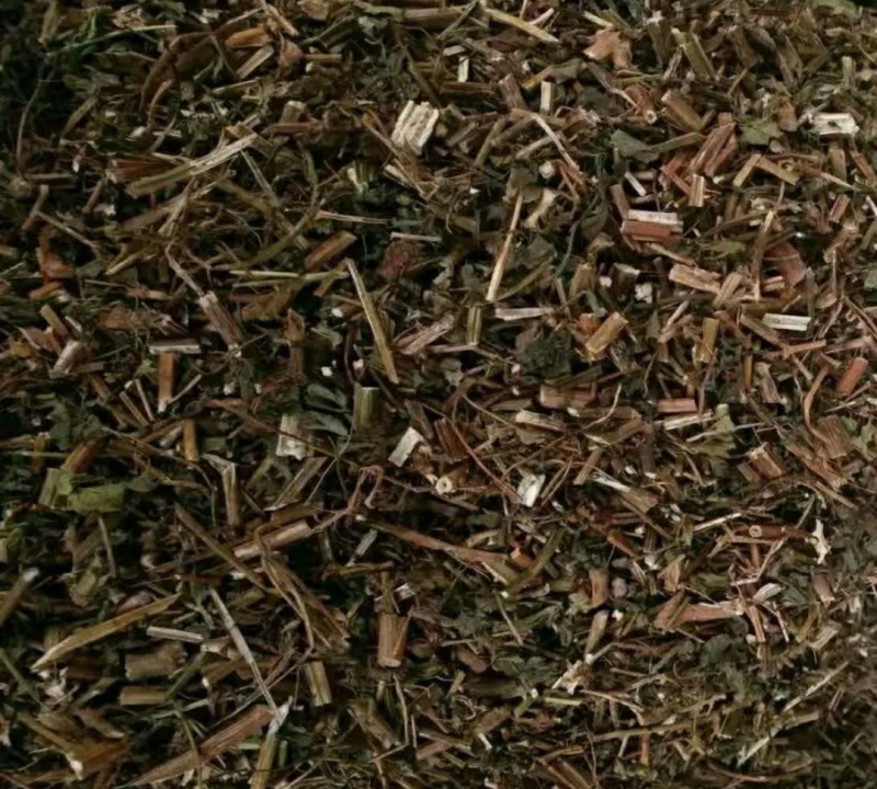 🌿鬼针草大揭秘！路边野草竟有这么多妙用😮