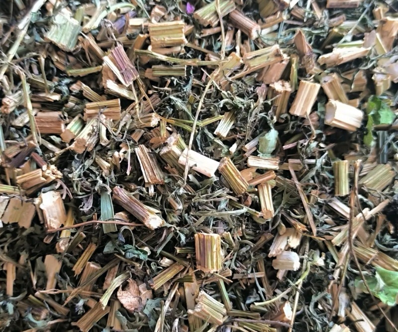 🌿鬼针草大揭秘！路边野草竟有这么多妙用😮