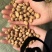 【实力推荐】蚕豆羊眼豆量大质优价格优惠支持视频看货