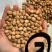 【实力推荐】蚕豆羊眼豆量大质优价格优惠支持视频看货