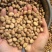 【实力推荐】蚕豆羊眼豆量大质优价格优惠支持视频看货