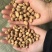 【实力推荐】蚕豆羊眼豆量大质优价格优惠支持视频看货