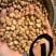 【实力推荐】蚕豆羊眼豆量大质优价格优惠支持视频看货