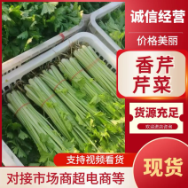 香芹，芹菜，一手资源，量大从优，欢迎咨询