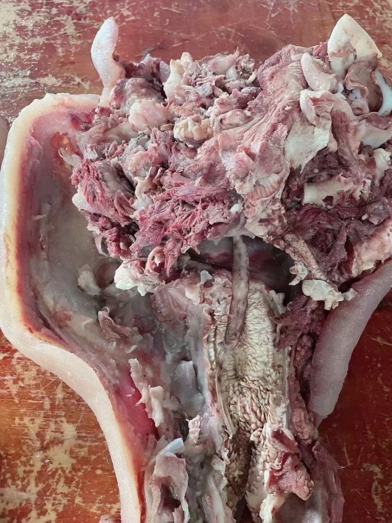 全熟水采毛牛头肉熟度高质量好好价格低源头好货天天有