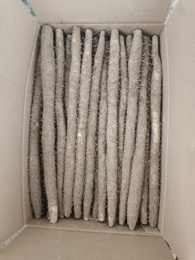 大量各种规格包装现货供应支持订做希望广大客户选购