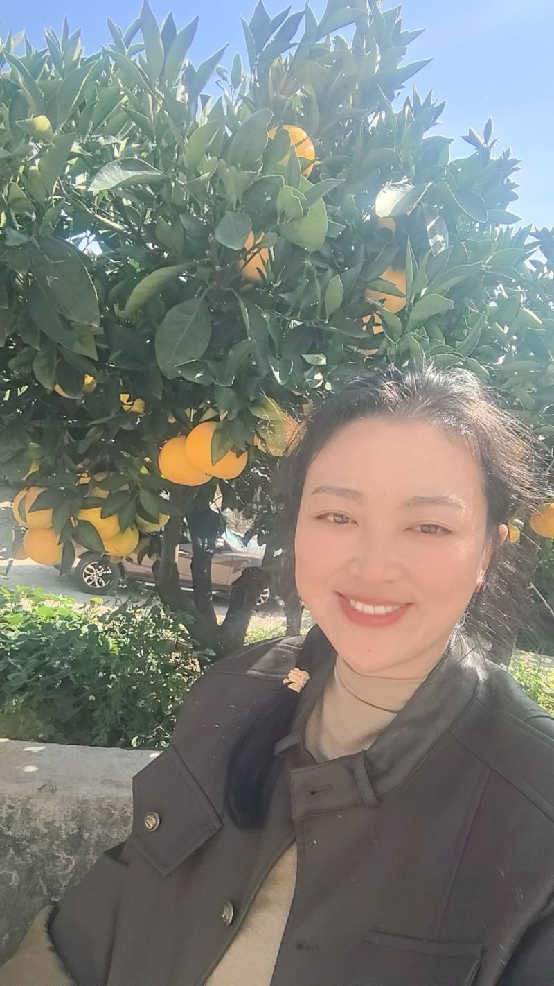 湖北九月红果冻橙，颗颗爆汁，入口即化，新鲜采摘，产地直供