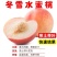 各种新型系列品种，一棵也批发，各种规格品种