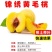 各种新型系列品种，一棵也批发，各种规格品种
