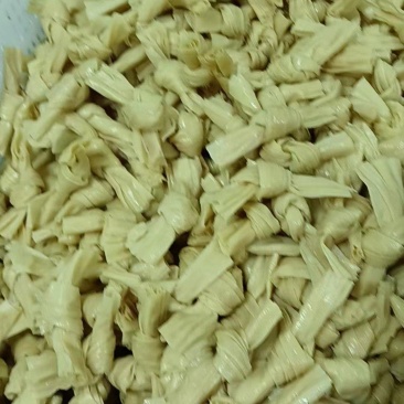 河南豆制品精品豆蔻、豆结批发，厂家直发，欢迎洽谈业务。
