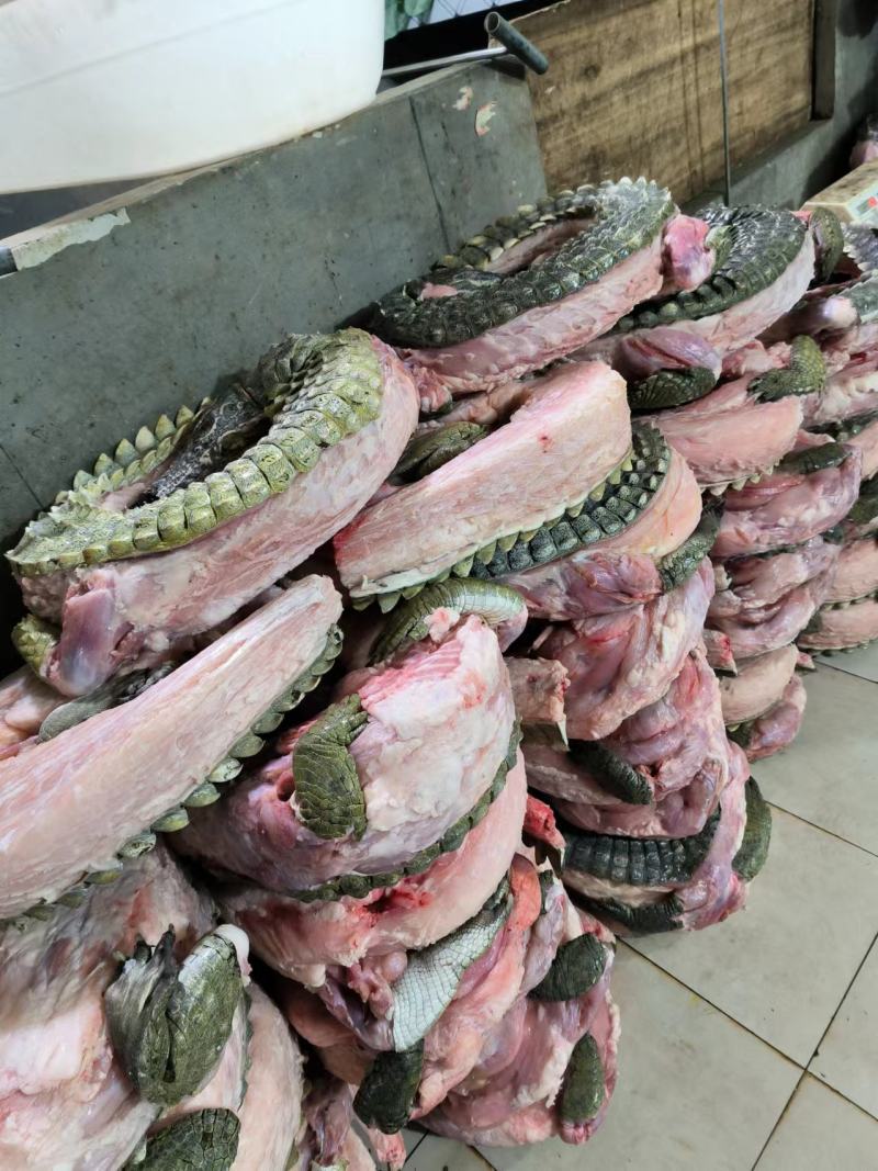 暹罗鳄商品鳄鱼，分割鳄鱼肉