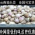 云南大理紫皮红皮独头蒜干蒜产地批发批发价10斤一箱起批