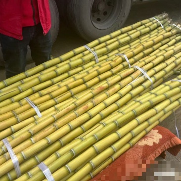 云南黄皮甘蔗大量有货清脆可口多汁对接全国市场